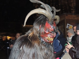 Adventmarkt Leonding