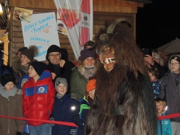 Adventmarkt Leonding