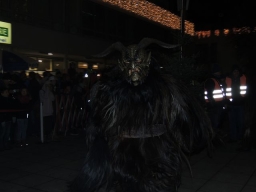 Adventmarkt Leonding