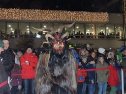 Adventmarkt Leonding