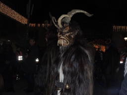 Adventmarkt Leonding