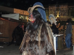 Adventmarkt Leonding