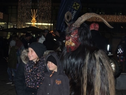 Adventmarkt Leonding