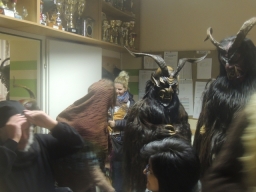 Gehörlosenverein Linz