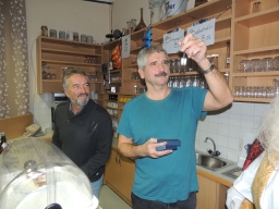 Gehörlosenverein Linz