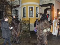 Gehörlosenverein Linz