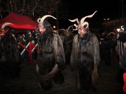 Adventmarkt Leonding