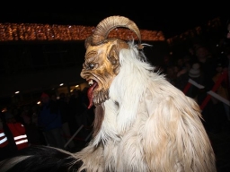 Adventmarkt Leonding