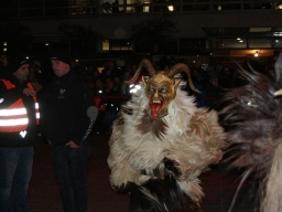 Adventmarkt Leonding