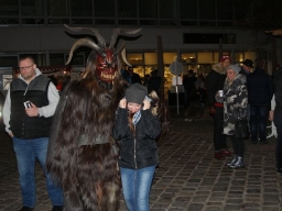 Adventmarkt Leonding