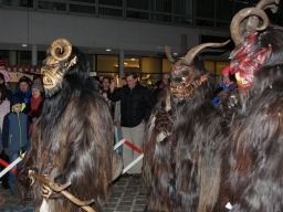 Adventmarkt Leonding