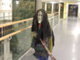 Seniorenheim Lenaupark