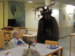 Seniorenheim Lenaupark