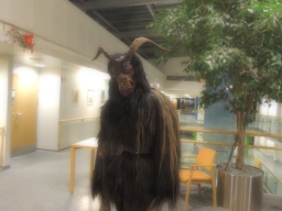 Seniorenheim Lenaupark