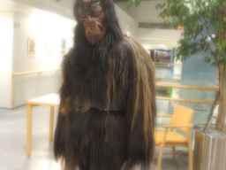 Seniorenheim Lenaupark