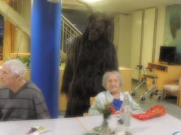 Seniorenheim Lenaupark