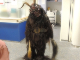 Seniorenheim Lenaupark