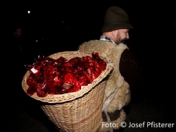 volksgarten_2018_14_20181227_1369206654