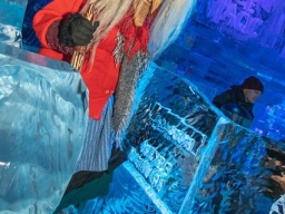 volksgarten_2018_15_20181227_1104255925