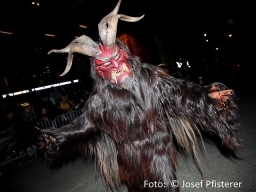 volksgarten_2018_15_20181227_1454415767