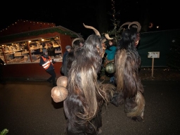 Adventmarkt Linz Volksgarten