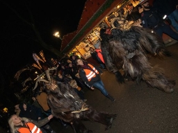 Adventmarkt Linz Volksgarten