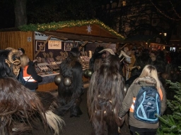Adventmarkt Linz Volksgarten