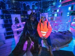 Adventmarkt Linz Volksgarten