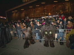 Adventmarkt Linz Volksgarten