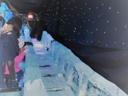 Adventmarkt Linz Volksgarten