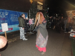 Adventmarkt Linz Volksgarten