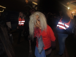 Adventmarkt Linz Volksgarten