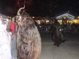 Adventmarkt Linz Volksgarten