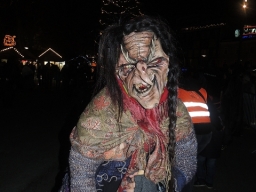 Adventmarkt Linz Volksgarten