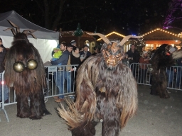 Adventmarkt Linz Volksgarten