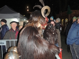 Adventmarkt Linz Volksgarten