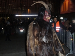 Adventmarkt Linz Volksgarten