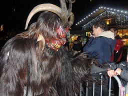 Adventmarkt Linz Volksgarten