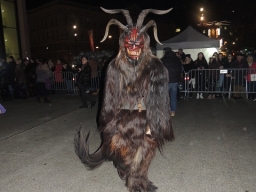Adventmarkt Linz Volksgarten