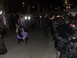 Adventmarkt Linz Volksgarten