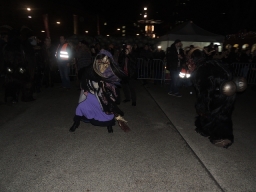 Adventmarkt Linz Volksgarten