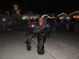 Adventmarkt Linz Volksgarten