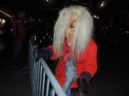 Adventmarkt Linz Volksgarten