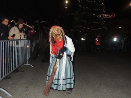 Adventmarkt Linz Volksgarten