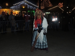 Adventmarkt Linz Volksgarten