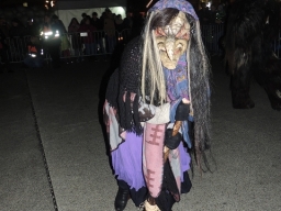 Adventmarkt Linz Volksgarten