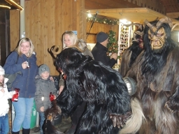 Adventmarkt Linz Volksgarten