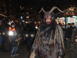 Adventmarkt Linz Volksgarten