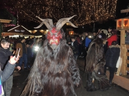 Adventmarkt Linz Volksgarten