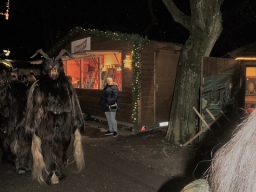 Adventmarkt Linz Volksgarten